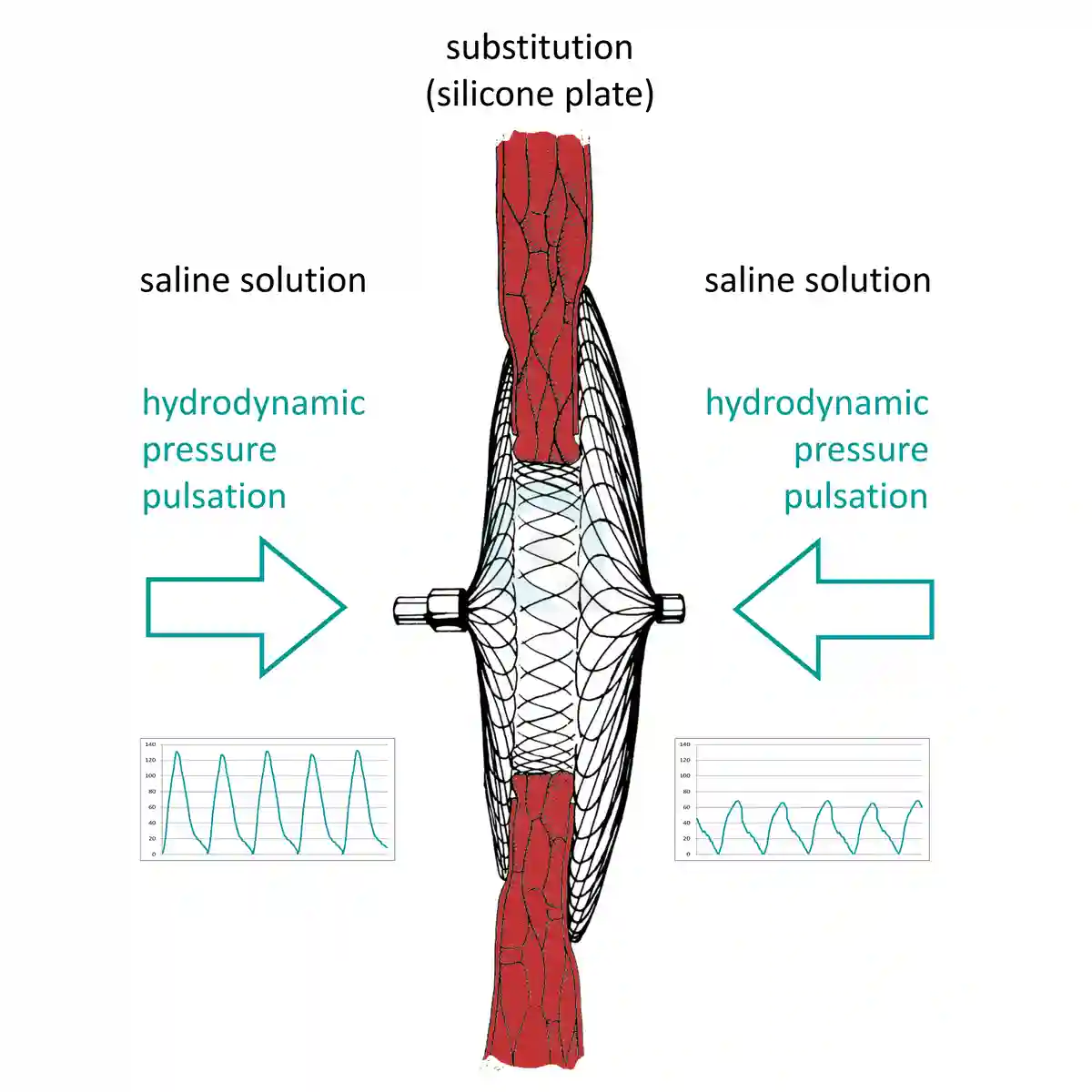 Occluder pulsatil hydrodynamisch Prüfung Prinzip