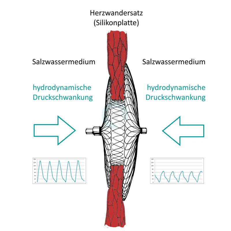 Occluder pulsatil hydrodynamisch Dauerfestigkeit Fatigue ISO 22679 und ASTM F3211